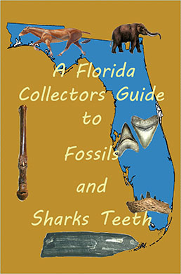 A Florida Collectors Guide to Fossils